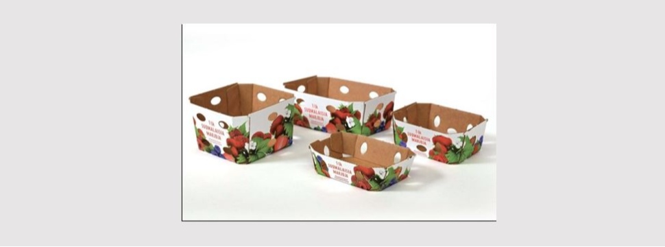 EcoFreshBox mit Erdbeeren