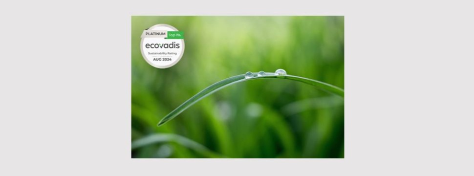 Lecta receives Platinum Medal in EcoVadis Sustainability Rating