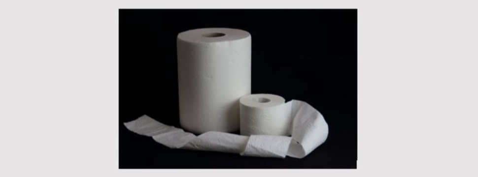 How long is the toilet paper on one roll?