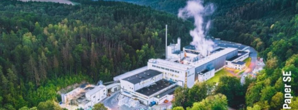 Production of silphia-based paper and board at the Koehler Paper mill in Greiz