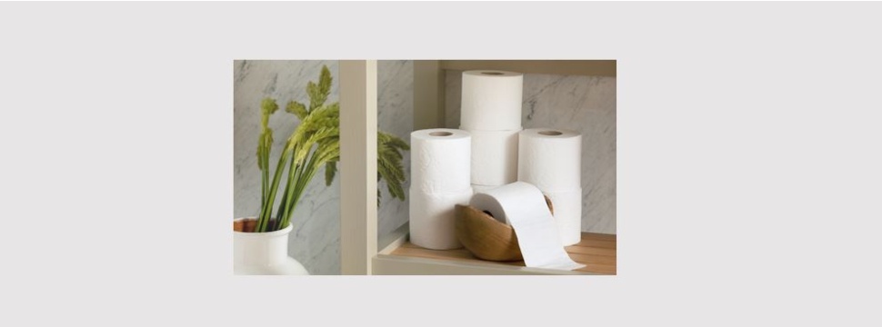 Metsä Tissue untersuchte die CO2-Bilanz von Toilettenpapier: Hochwertiges und weiches Hygienepapier ist auch umweltfreundlich