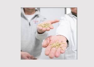 Södra develops a new paper pulp – combining forest raw materials with oat hulls