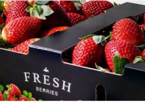 Kompostierbarkeitszertifikat für Metsä Board Kartons