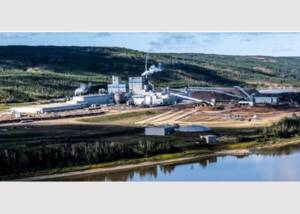 Mercer Peace River Pulp