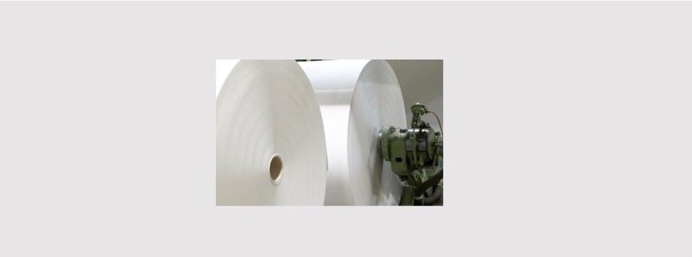 Paperboard rolls at MM Packaging