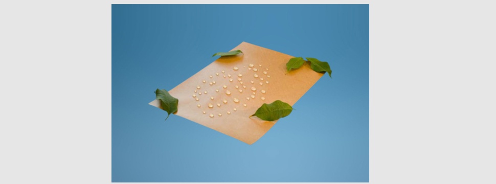 Smurfit Kappa opens up a new world of possibilities with water-resistant paper