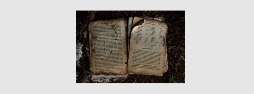 Old book in destruction by paper silverfish