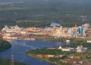 Thunder Bay Pulp and Paper
