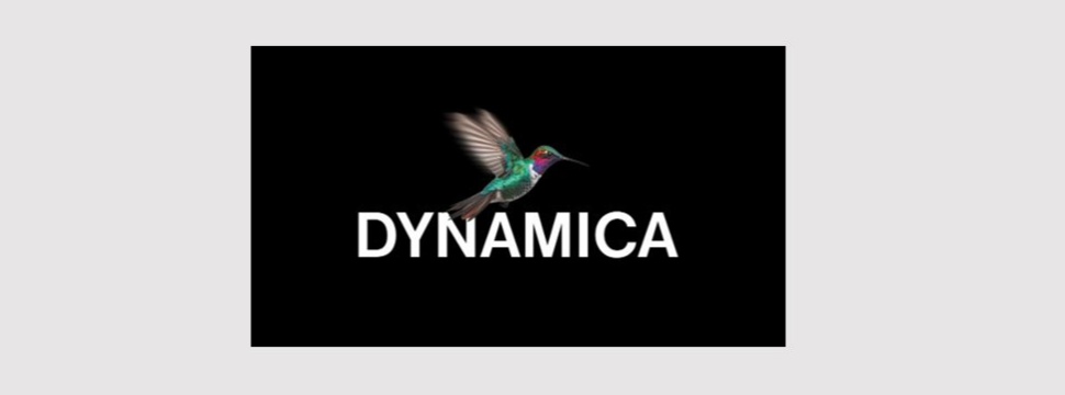 Bird flying above the word DYNAMICA