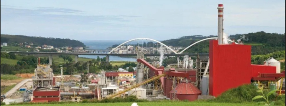 Ence's Zellstofffabrik in Navia