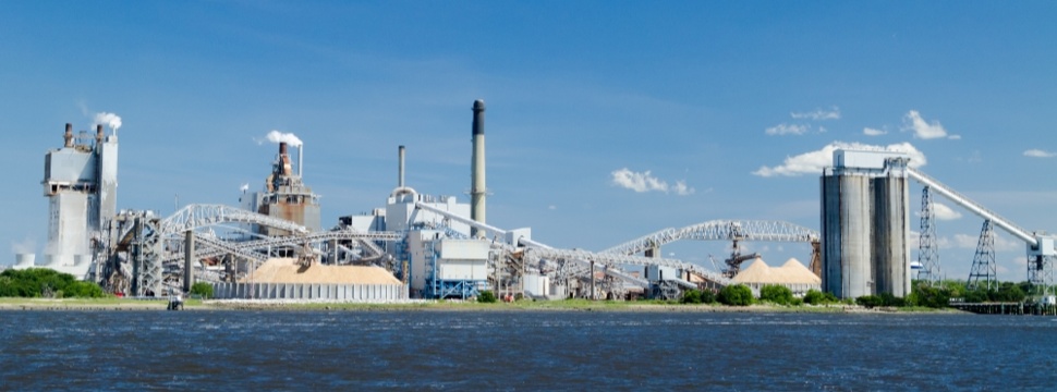 Paper industry could increase electricity and heat generation by 2030