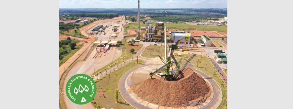 ANDRITZ Biomass Handling Plant at Eldorado