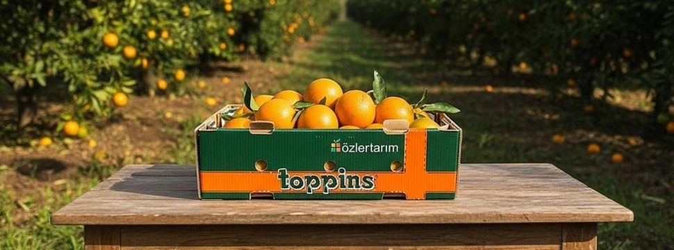 Mondis Transportverpackung für Obst und Gemüse Mondis Transportverpackung für Obst und Gemüse