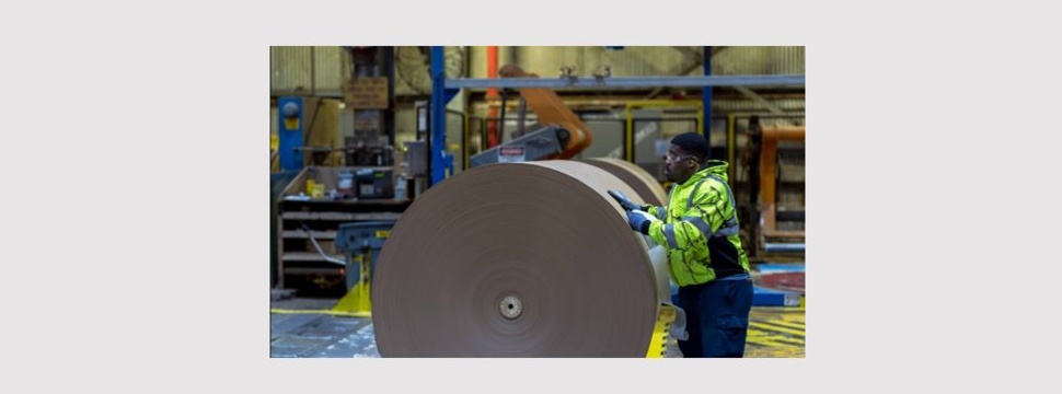 Work at International Paper