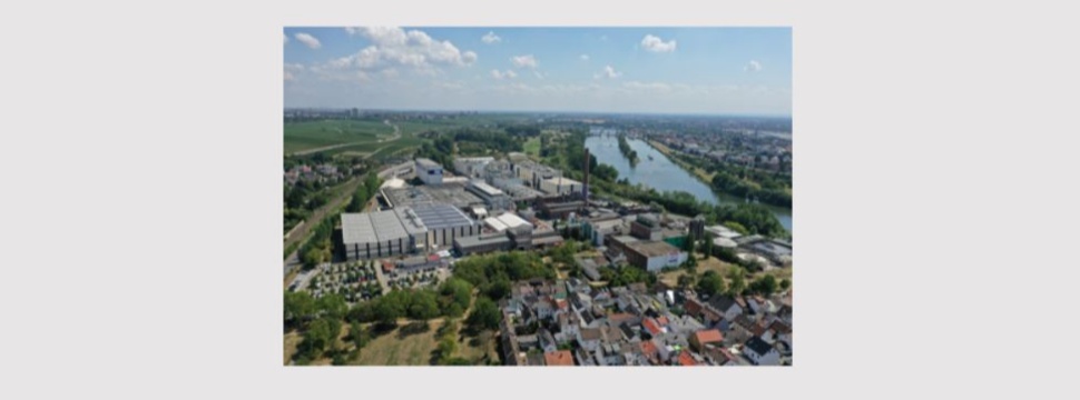Essity facility in Mainz-Kostheim, Germany