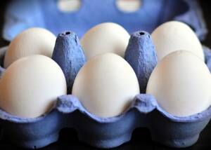 Egg cartons should not be reused Egg cartons should not be reused
