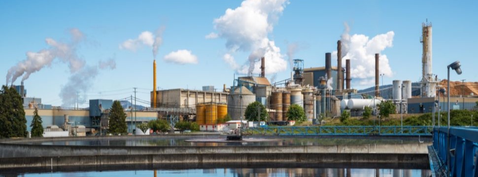 Paper Excellence nimmt Kraftzellstoffbetrieb in Crofton wieder auf
