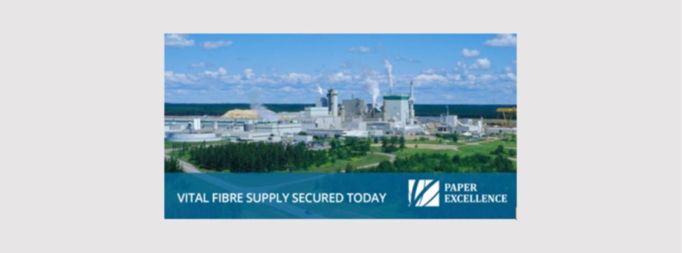 Paper Excellence secures fibre supply vital to the restart of its Prince Albert pulp mill