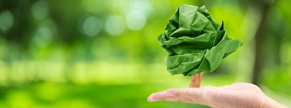 Auf dem Weg zur Klimaneutralität – Grüner Innovationsschub in der Papierindustrie
