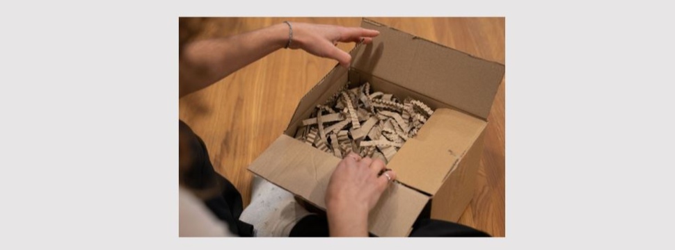 Fraunhofer IML and IGEPA Group Launch Collaboration on Carton Set Optimization with CASTN