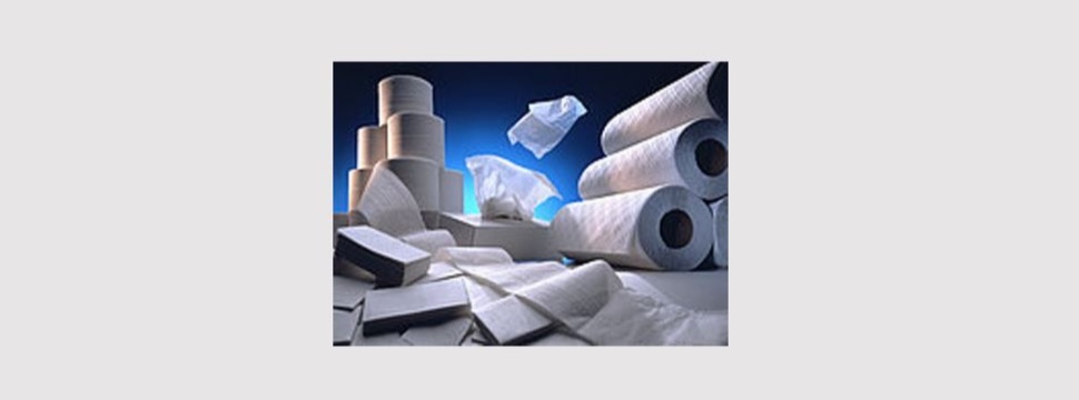Hygiene paper manufacturers warn of supply crisis