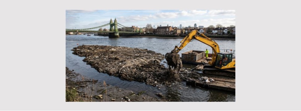 Wet Wipe Island is cleared.