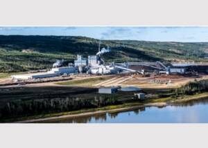 Mercer Peace River Pulp