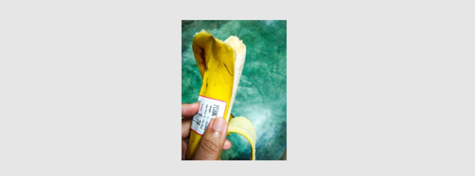 Die Bananenschale kann samt Etikett auf den Kompost.