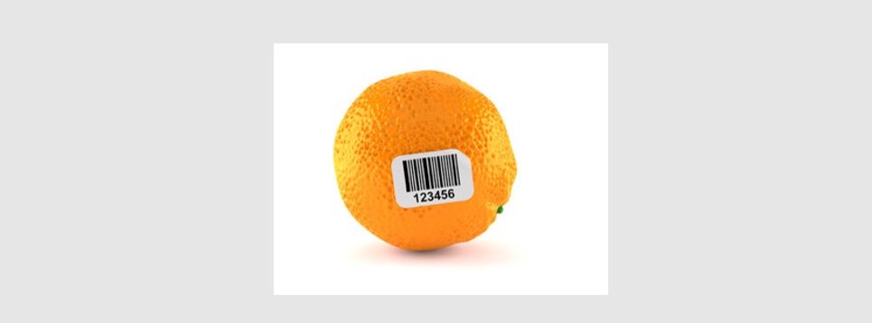With the new HERMA 62E pressure-sensitive adhesive, it is very easy to create labels that combine guaranteed compostability with excellent migration values - for example, for labelling fruit.