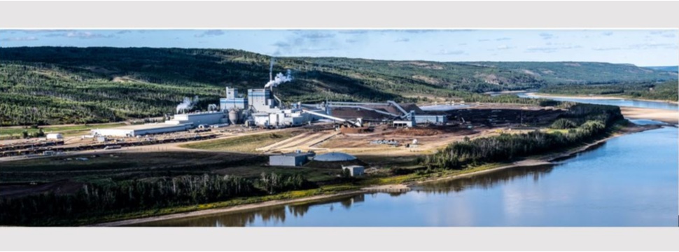 Mercer Peace River Pulp