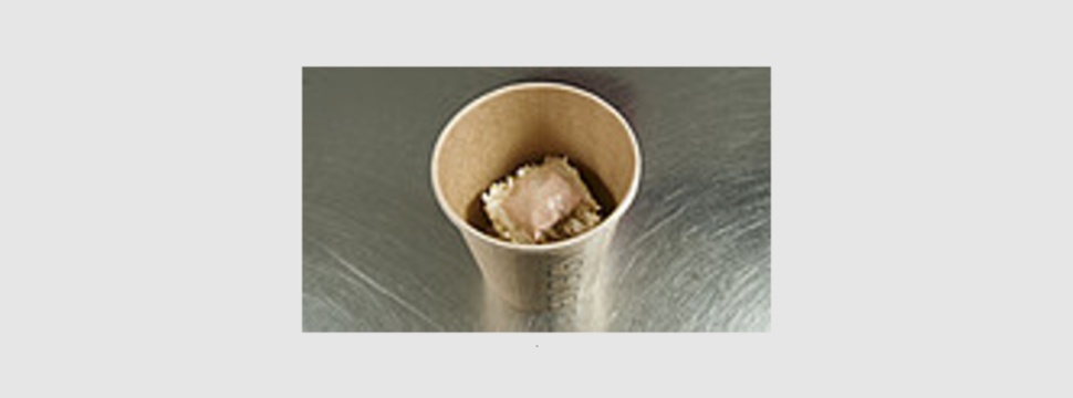 Klassische Ramen-Suppe und 100% plastikfreie EDGGY-Verpackungs-Alternative.