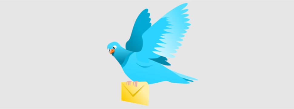 Carrier pigeons carried important messages in World War 1