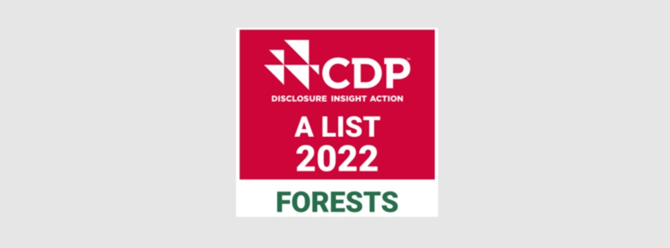 Essity auf der A-Liste des CDP für Nachhaltigkeit