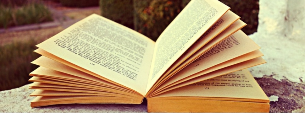 Buch Buch