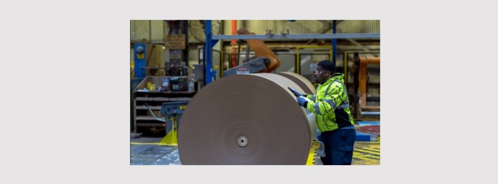 Arbeit bei International Paper