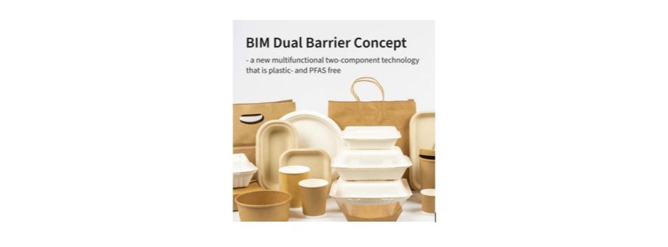 BIM Dual Barrier Concept