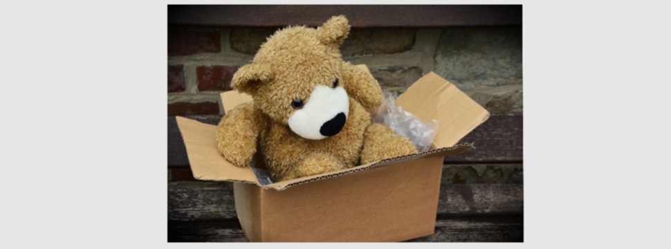 Teddy bear in a box