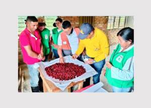 Smurfit Westrock wins the 2025 Portafolio Award for Corporate Social Responsibility