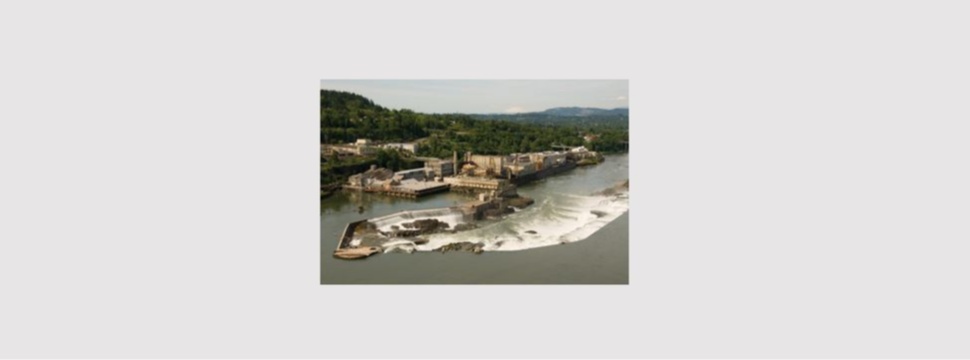 Willamette Falls Paper Company reduziert Abfall mit dem Energy Trust of Oregon Programm