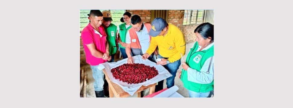 Smurfit Westrock gewinnt den Portafolio Award 2025 für soziale Unternehmensverantwortung