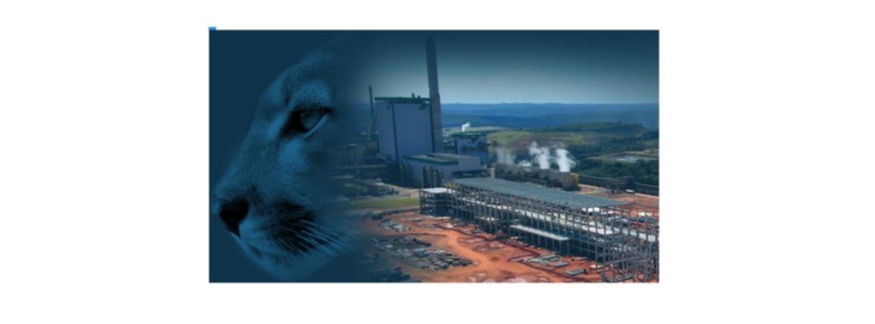 Klabin baut die erste integrierte Schwefelsäureanlage in Brasilien, die aus dem Prozess zurückgewonnene Gase nutzt