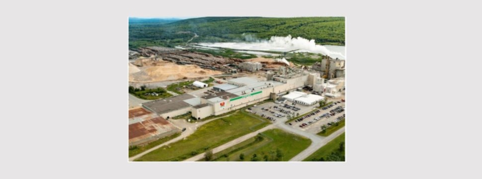 Zellstofffabrik in Nackawic, New Brunswick