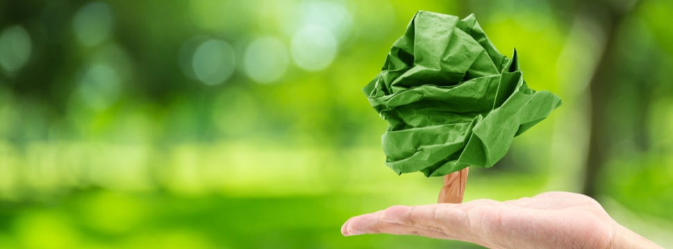 On the road to climate neutrality - green innovation boost in the paper industry