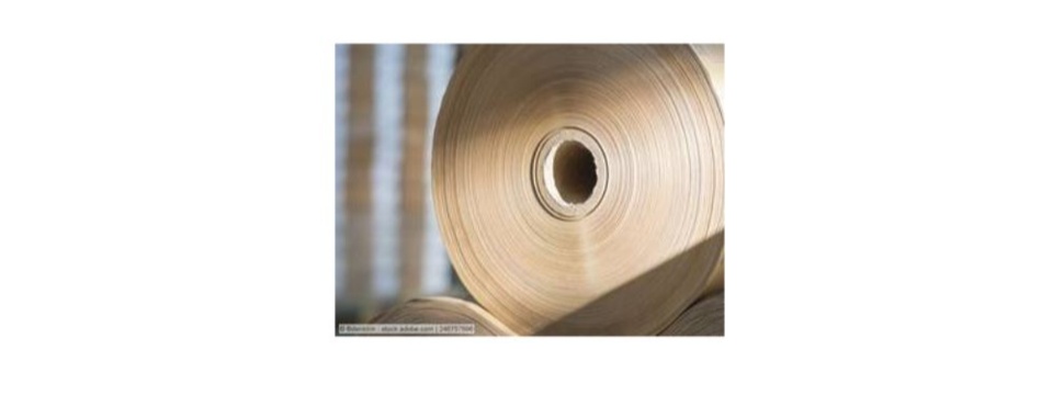 Prices for AP corrugated base papers continue to rise