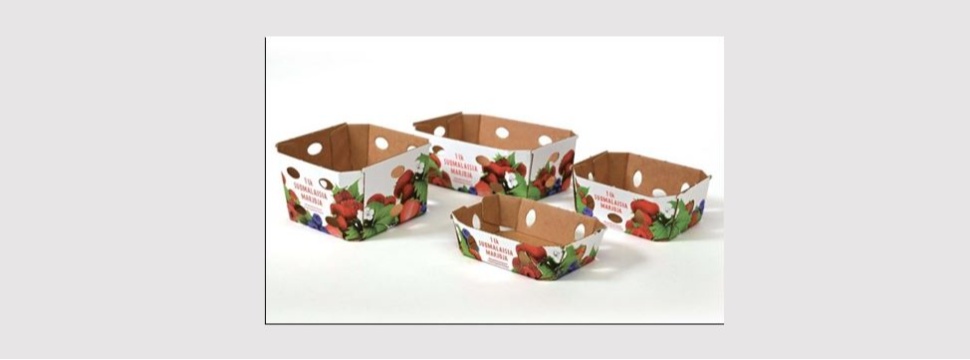 EcoFreshBox with strawberries