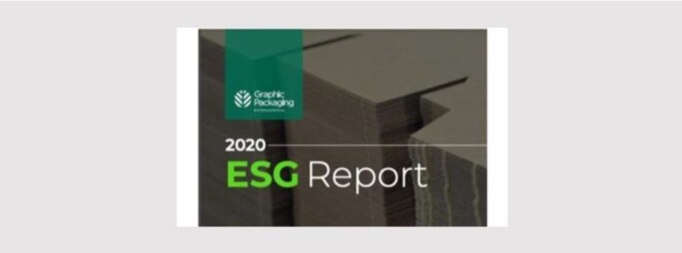 Environmental, Social and Governance (ESG) Report for 2020