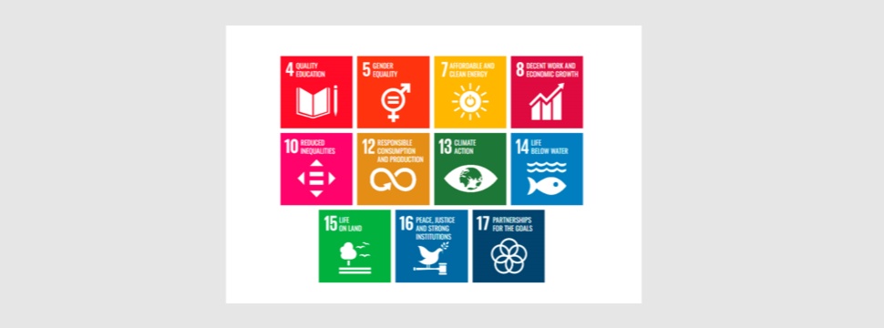 Lecta definiert seine strategischen Nachhaltigkeitsziele für 2030