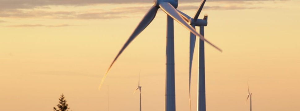 SCA ist einer der führenden Erzeuger erneuerbarer Energien in Europa.