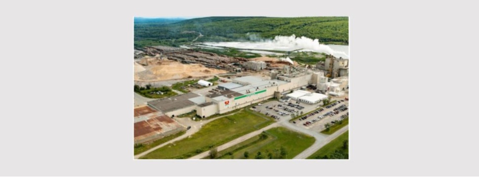 Nackawic pulp mill facility in Nackawic, New Brunswick