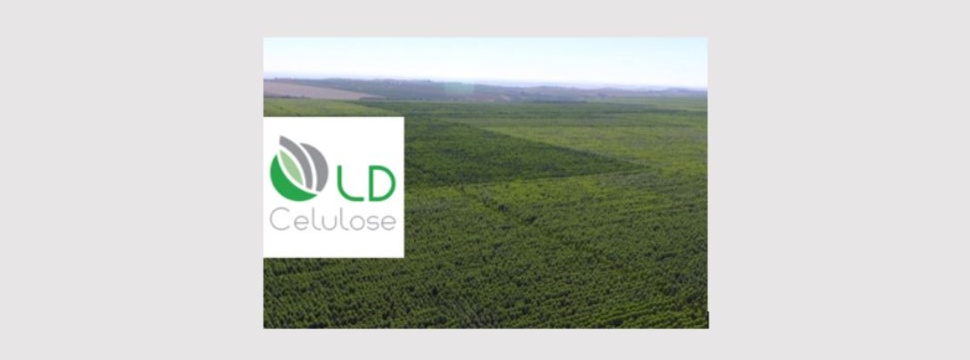 LD Celulose S.A. wählt Remsoft für die Optimierung der strategischen Forstplanung in Brasilien